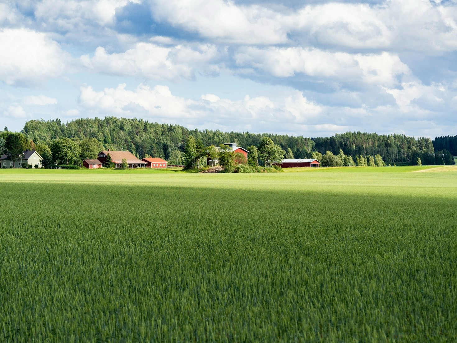 Rola świetlicy w życiu mieszkańców